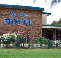 Fig Tree Motel - Accommodation Southport