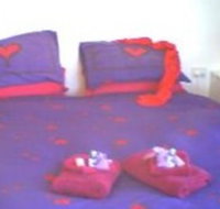 Aloomba Lavender - Accommodation - Southport Accommodation