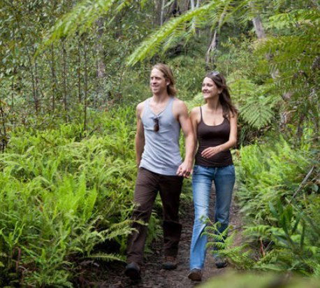 Blackheath Glen Tourist Park - Accommodation Southport 0