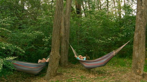 Bingle Tree Retreat - Accommodation Southport 1