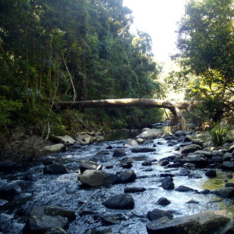 Eungella Mountain Edge Escape - Southport Accommodation 4