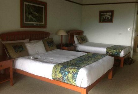 OReillys Rainforest Retreat - Accommodation Southport 5