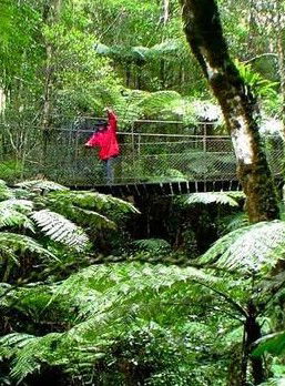 Katandra Mountain Farm House - Southport Accommodation 2