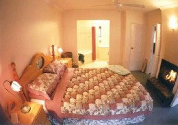 Fern Gulley Retreat - Southport Accommodation 1