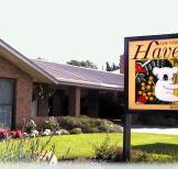 Begonia City Motor Inn - Accommodation Southport