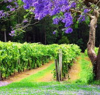 Bago Vineyards - Accommodation Southport