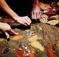 Daintree Eco Lodge And Spa - Accommodation Southport