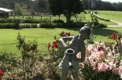 Jacaranda Country Lodge - Accommodation Southport 2