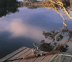 Jacaranda Country Lodge - Accommodation Southport 4