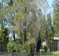 Nimbin Backpackers at Grannys Farm - Accommodation Southport