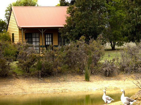 Mountain View Motor Inn And Holiday Lodges - Accommodation Southport 2