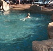 Undara Experience Lava Lodge - Southport Accommodation