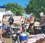Shark Bay Cottages - Accommodation Southport