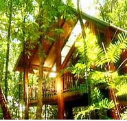 The Canopy Treehouses - Southport Accommodation