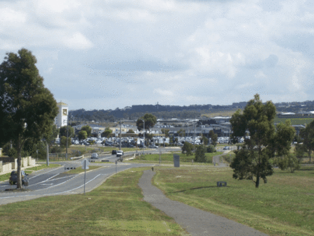 Golden Palms Motel - Southport Accommodation