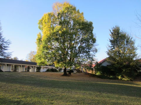 Moore Park Inn - Accommodation Southport 0