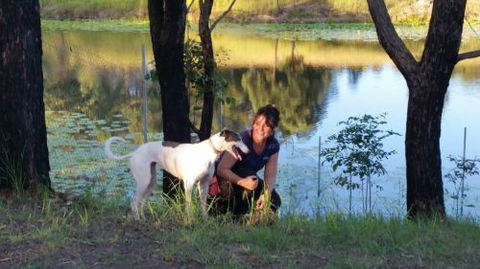 Wingham Pet Motel - Southport Accommodation 2