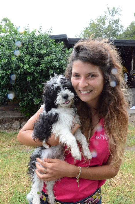 Wingham Pet Motel - Southport Accommodation 5