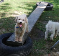 Beenleigh Pet Motel - Southport Accommodation