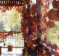 The Vines Motel amp Cottages - Southport Accommodation