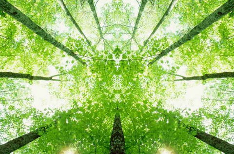 Ibis Budget Wentworthville - Accommodation Southport 2