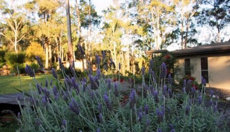 Wild Edge Retreat - Accommodation Southport 2