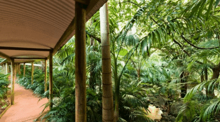 Pethers Rainforest Retreat - Accommodation Southport 4
