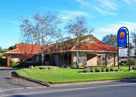 Comfort Inn Silver Birch - Accommodation Southport 0