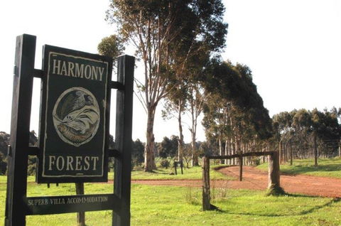 Harmony Forest - Southport Accommodation 0