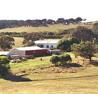 Sun Valley Eco Farm - Southport Accommodation