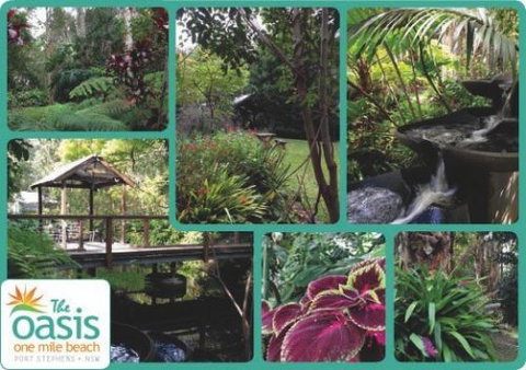 The Oasis At One Mile Beach - Accommodation Southport 2