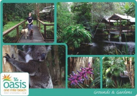 The Oasis At One Mile Beach - Accommodation Southport 3