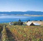 Marions Vineyard  - Southport Accommodation