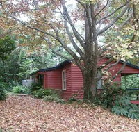 Turkeys Nest Rainforest Cottage - Accommodation Southport