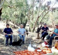 Bimbimbi And Little Hollow Farm Stay - Accommodation Southport