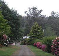 Mountain Rivers Lodge - Accommodation Southport