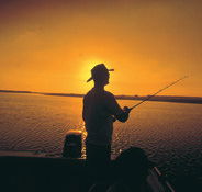 Point Stuart Wilderness Lodge - Accommodation Southport