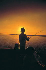 Point Stuart Wilderness Lodge - Accommodation Southport 0