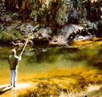 Markdale Homestead - Southport Accommodation