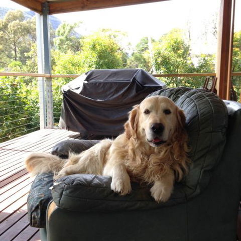 Ant's Halls Gap Holiday House - Southport Accommodation 7