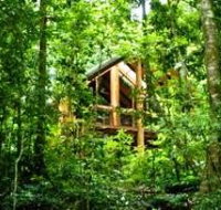 Fur'N'Feathers Rainforest Tree Houses - Southport Accommodation