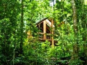 Fur'N'Feathers Rainforest Tree Houses - Southport Accommodation 0