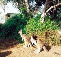 Avoca Dell Caravan Park