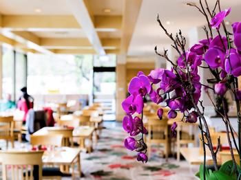 Pullman Melbourne On The Park - Accommodation Southport 42