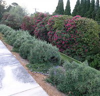 Silvermere - Southport Accommodation