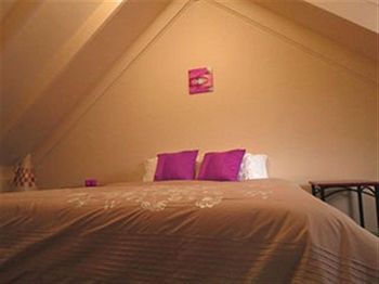 Barrington Wilderness Cedar Lodge Accommodation - Southport Accommodation 2