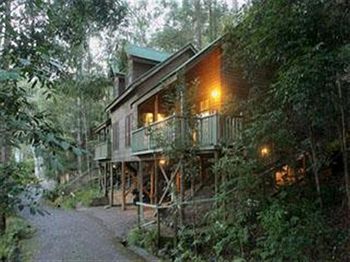 Barrington Wilderness Cedar Lodge Accommodation - Southport Accommodation 3