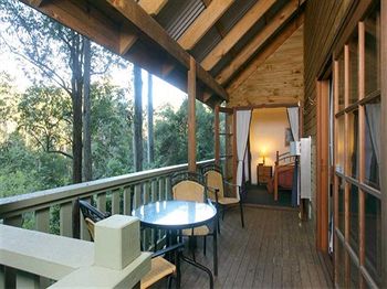 Barrington Wilderness Cedar Lodge Accommodation - Southport Accommodation 5