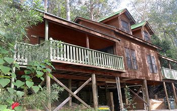 Barrington Wilderness Cedar Lodge Accommodation - Southport Accommodation 12