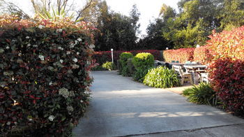 Branxton House Motel, Hunter Valley - Accommodation Southport 13